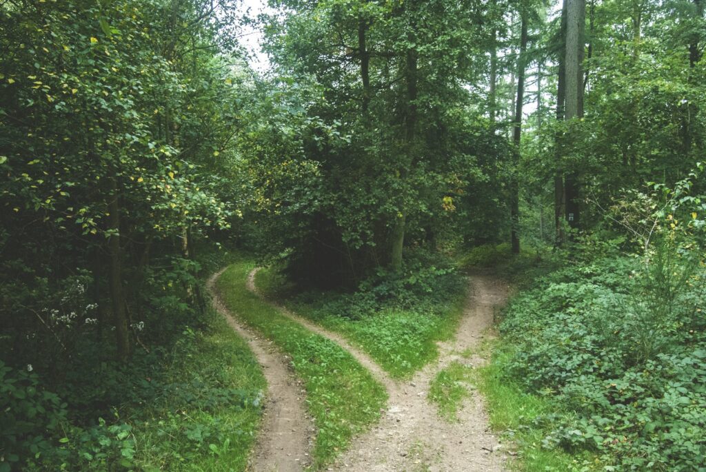 #300: Are Semantic Layers Really Necessary?